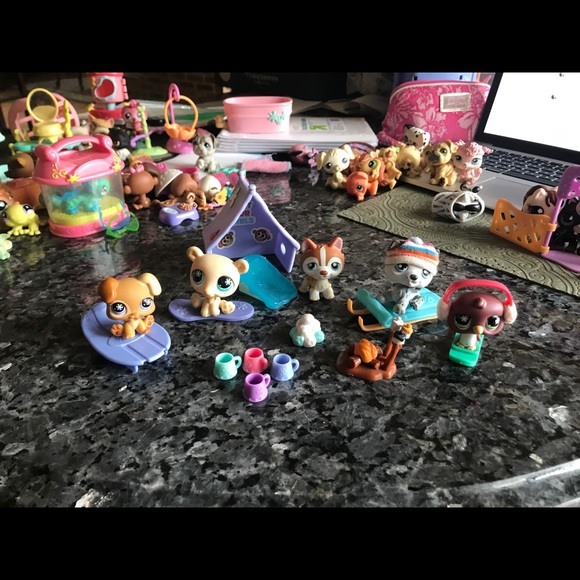 Littlest Pet Shops! - Picture 4 of 16